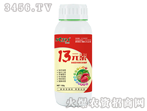 120g13元素-索菲亞