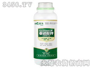 1000gäºžç£·é…¸é‰€-ç´¢è²äºž