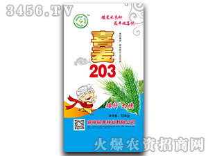 喜麥203-小麥種子-晨禾種業(yè)