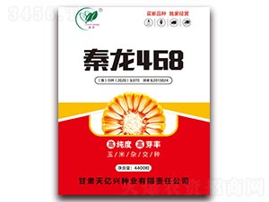 秦龍468-玉米種子-坤元種業(yè)