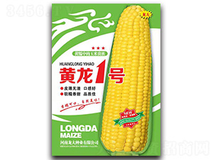 黃龍1號(hào)-玉米種子-龍大種業(yè)