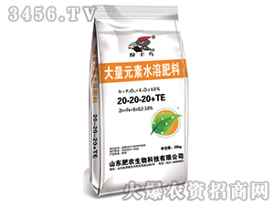 大量元素水溶肥料20-20-20+TE-保豐鳥-肥農(nóng)生物