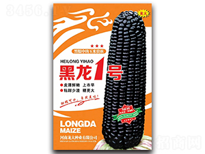 黑龍一號(hào)-玉米種子-龍大種業(yè)