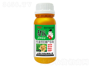 生姜控旺增產(chǎn)專用肥-勁鼓-樂禾肥業(yè)