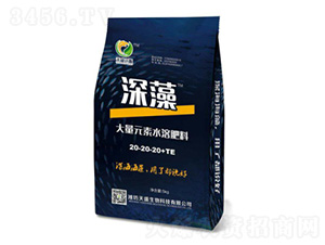 å¤§é‡å…ƒç´ æ°´æº¶è‚¥æ–™20-20-20+TE-æ·±è—»-å¤©ç››ç”Ÿç‰©