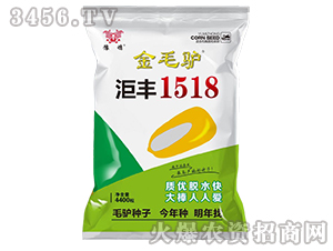 金毛驢洰豐1518-玉米種子-豫穗農(nóng)業(yè)