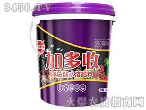 加多收海藻酸水溶肥料-田園季豐-大豐肥業(yè)