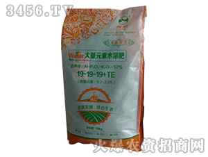 大量元素水溶肥19-19-19+TE-邡潤化工