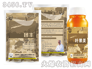 葉國美（團(tuán)豐）-希土部隊