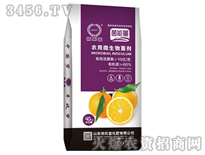 農(nóng)用微生物菌劑-檸檬專用-佰氏富