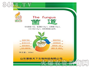 液體微生物菌劑-菌道-菌臨天下