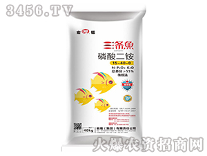 磷酸二銨-三條魚(yú)-甕福集團(tuán)