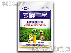 花生高產(chǎn)營(yíng)養(yǎng)管理套餐-吉祥三寶-翰豐生物