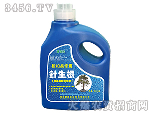 松柏類專用含氨基酸水溶肥-針生根-新超農(nóng)業(yè)