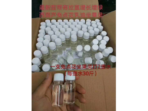 è¥¿è‘«è˜†å…é»žèŠ±åæžœéˆ-ç¦¾åœ£ç‘ž