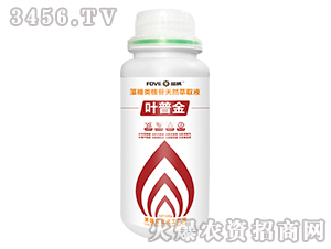 500g藻糖類(lèi)核苷天然萃取液-葉普金-富威