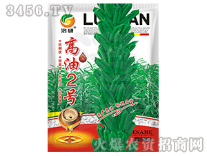 芝麻種子-高油2號-洛研