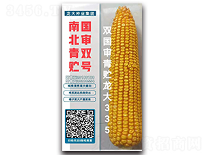 雙國(guó)審青貯龍大335-玉米種子-龍大種業(yè)