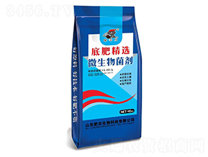 微生物菌劑-保豐鳥-肥農(nóng)生物