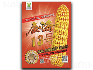 金海13號-玉米種子-金海農(nóng)創(chuàng)