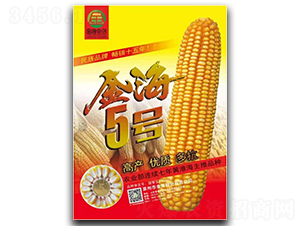 金海5號-玉米種子-金海農(nóng)創(chuàng)