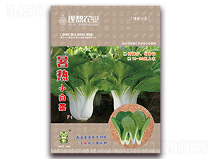 暑熱-青梗菜種子-理想農(nóng)業(yè)