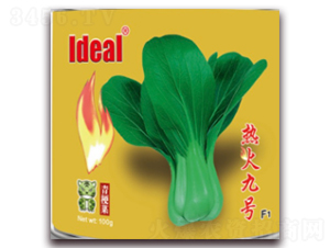 熱火九號(hào)-青梗菜種子-理想農(nóng)業(yè)