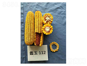 蠡玉112-玉米種子-蠡玉