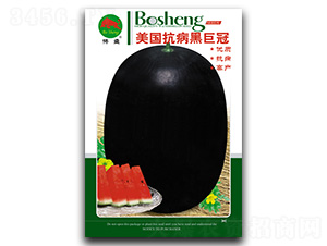 美國(guó)抗病黑巨冠-西瓜種子-搏盛種業(yè)
