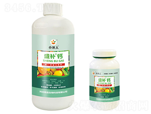 ç“¶è£ç››è£œéˆ£-å°ç±³äºº-éŠ˜å“ç”Ÿç‰©