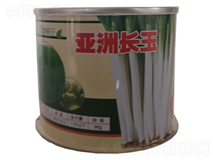 亞洲長(zhǎng)玉-大蔥種子-鑫星農(nóng)業(yè)