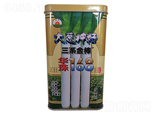 華株168-大蔥種子-鑫星農(nóng)業(yè)