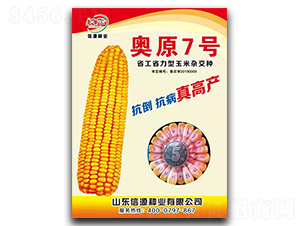 奧原7號-玉米種子-信源種業(yè)