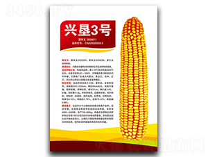 興墾3號(hào)-玉米種子-豐墾種業(yè)