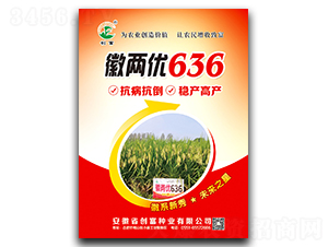 徽兩優(yōu)636-水稻種子-創(chuàng)富種業(yè)