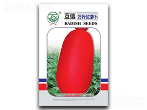 萬(wàn)斤紅-蘿卜種子-億豪農(nóng)業(yè)