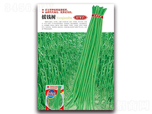 æ–éŒ¢(qiÃ¡n)æ¨¹(shÃ¹)-è±‡è±†ç¨®å­-è¯è¾²(nÃ³ng)ç¨®æ¥­(yÃ¨)