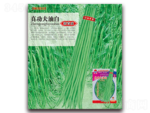 çœŸåŠŸå¤«æ²¹ç™½-è±‡è±†ç¨®å­-è¯è¾²(nÃ³ng)ç¨®æ¥­(yÃ¨)