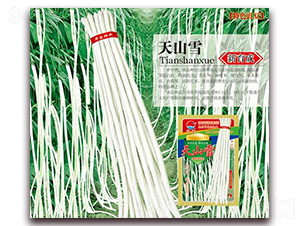 å¤©å±±é›ª-è±‡è±†ç¨®å­-è¯è¾²(nÃ³ng)ç¨®æ¥­(yÃ¨)