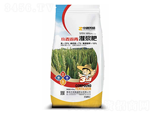 小麥返青灌漿肥-中源美盛