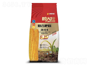 復(fù)合肥料28-6-6-棒大壯-中源美盛