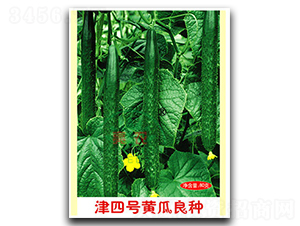 津四號黃瓜良種-黃瓜種子-亮農(nóng)