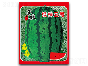 綠神五號-西瓜種子-荃銀瓜菜