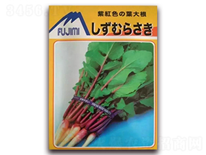 日本紫紅色葉用蘿卜-蘿卜種子-圣農(nóng)高科