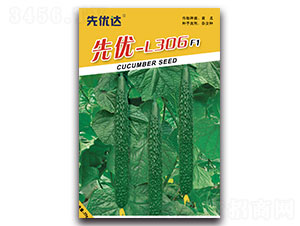 先優(yōu)L-306-黃瓜種子-先優(yōu)達(dá)