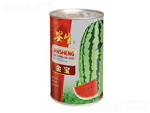 金寶-西瓜種子-安生