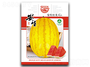紅美人-西瓜種子-安生