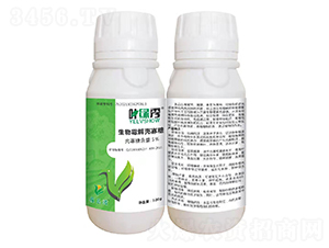 ç”Ÿç‰©éœ‰è§£æ®¼å¯¡ç³–-è‘‰ç¶ ç§€-è‘†æ¨‚æ»‹