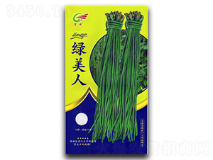 ç¶ ç¾Žäººï¼ˆé»ƒè¢‹ï¼‰-è±‡è±†ç¨®å­-å®é›¨