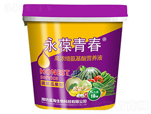 蔬菜瓜果型高濃縮氨基酸營養(yǎng)液-永葆青春-藍海生物